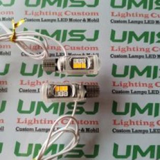 T10 2 Warna Untuk Lampu Senja, Kota Dan Juga Sen